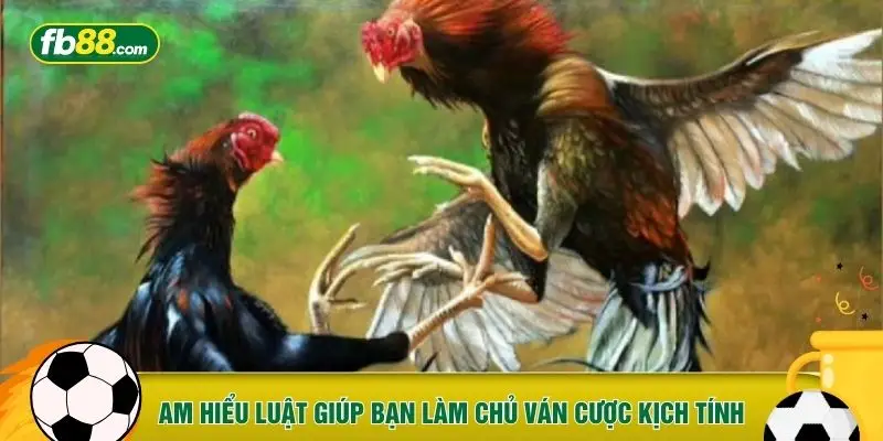 Am hiểu luật giúp bạn làm chủ ván cược kịch tính