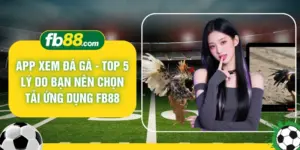 App Xem Đá Gà - Top 5 Lý Do Bạn Nên Chọn Tải Ứng Dụng FB88