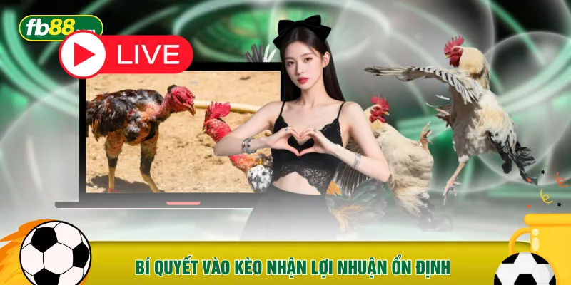 Bí quyết vào kèo nhận lợi nhuận ổn định