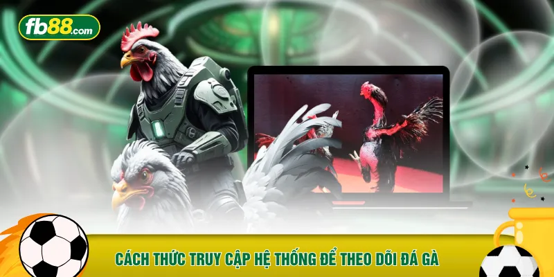 Cách thức truy cập hệ thống để theo dõi đá gà