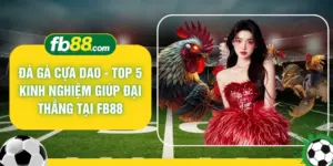 Đá Gà Cựa Dao - Top 5 Kinh Nghiệm Giúp Đại Thắng Tại FB88