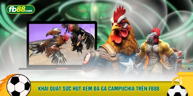 Khái quát về sức hút của việc xem đá gà Campuchia trên FB88