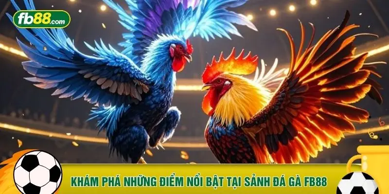 Khám phá những điểm nổi bật tại sảnh đá gà FB88
