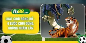 Luật Chơi Rồng Hổ - 6 Bước Chơi Đúng, Không Nhầm Lẫn