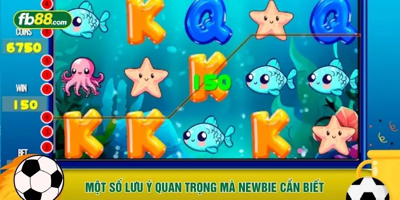 Một số lưu ý quan trọng mà newbie cần biết