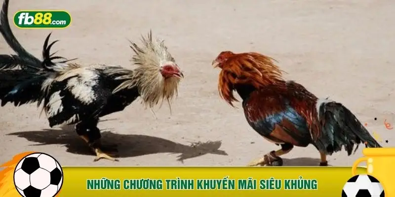 Những chương trình khuyến mãi siêu khủng