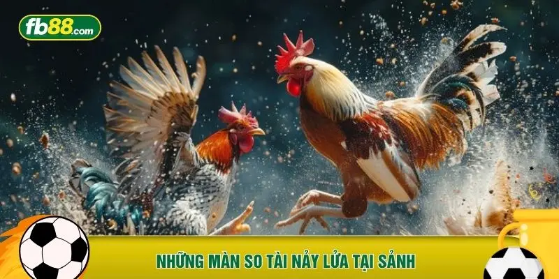 Những màn so tài nảy lửa tại sảnh