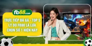 Trực Tiếp Đá Gà - Top 5 Lý Do FB88 Là Lựa Chọn Số 1 Hiện Nay