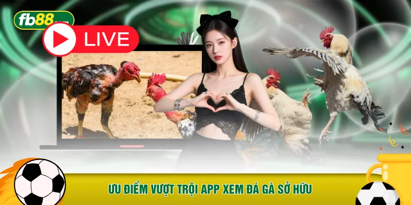 Ưu điểm vượt trội app xem đá gà sở hữu