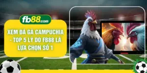 Xem Đá Gà Campuchia - Top 5 Lý Do FB88 Là Lựa Chọn Số 1