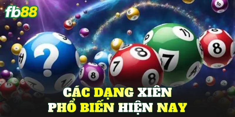 Các dạng xiên phổ biến hiện nay