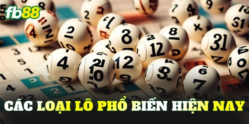 Các loại lô phổ biến hiện nay