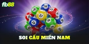 Soi Cầu Miền Nam