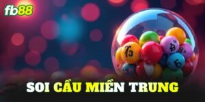 Soi Cầu Miền Trung