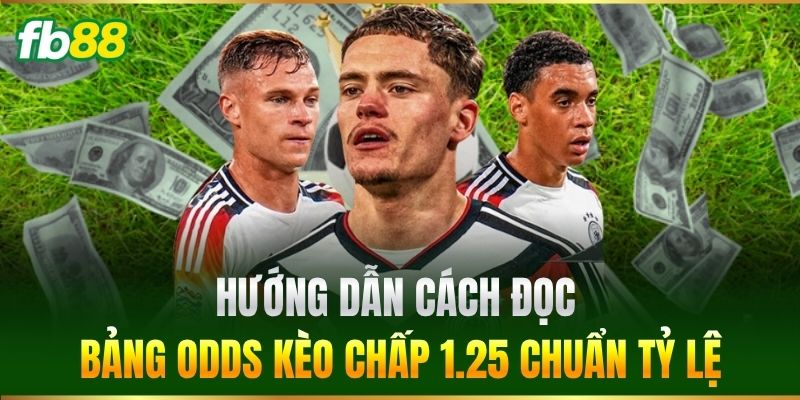 Hướng dẫn cách đọc bảng odds Kèo Chấp 1.25 chuẩn tỷ lệ