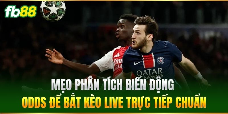 Mẹo phân tích biến động odds để bắt kèo live trực tiếp chuẩn